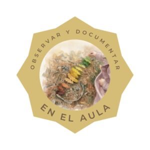 Observar y documentar en el aula