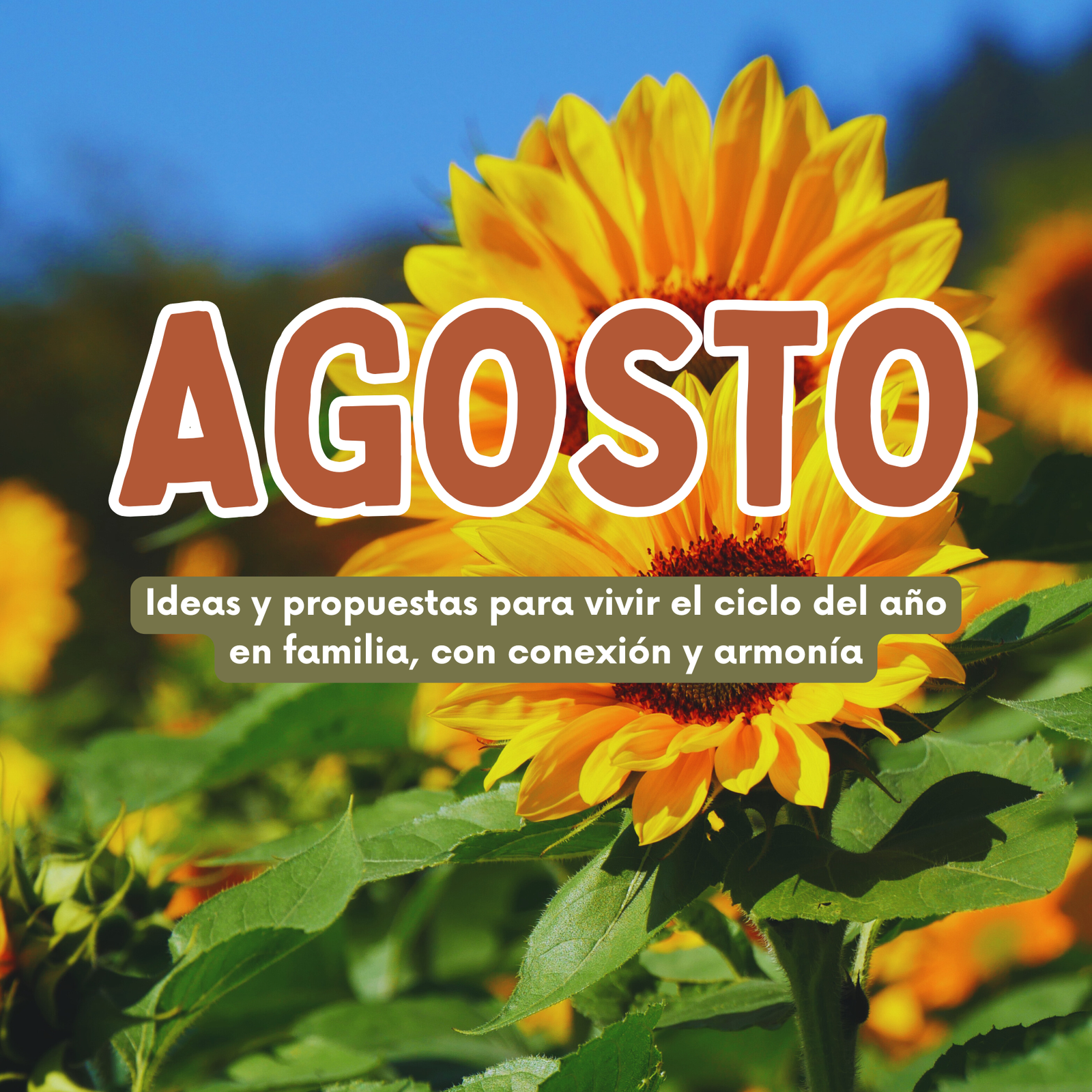 AGOSTO, acompañar el ciclo del año